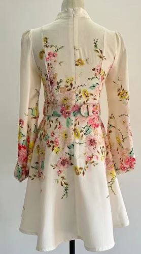 Printed Mini Dress with Button-Down Detail