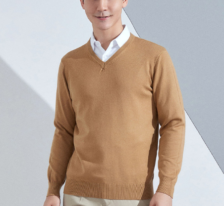 Eliott | Men’s V-Neck Slim Fit Sweater